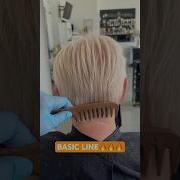 BASIC LINE PIXIE HAIRCUT Complete Tutorial Linked Below
