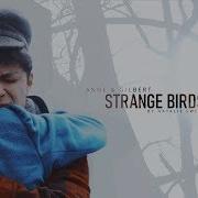 Anne Gilbert Strange Birds 3x08