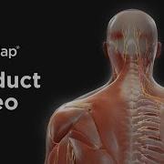 BodyMap Human Anatomy VR 2023