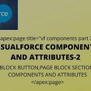 VISUALFORCE COMPONENTS AND ATTRIBUTES 2 PAGE BLOCK SECTION PAGE BLOCK BUTTON INPUT COMPONENTS