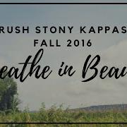Stony Brook Kappa Phi Lambda Rush Fall 2016