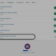 Create Use Custom Controllers Visualforce Basics