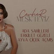 Cevher Ada Sahilleri Erkilet Güzeli Ayva Çiçek Açmış