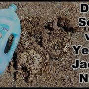 Complete Destruction Dish Soap Vs Ground Yellow Jacket Nest Mousetrap Monday