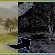 How To Add NANITE To FOLIAGE In Unreal Engine 5