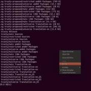 How To Install RabbitVCS On Ubuntu Linux