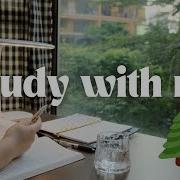 1 Hour Study With Me Tree View Calm Music No Breaks