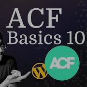 Освойте основы ACF расширенные пользовательские поля WordPress