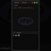 Hello World Php Running From Terminal Shorts