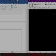 Practical Work 4 C Programming