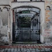 Crash This Gate