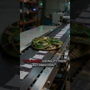 Day 21 Auto Upload YouTube Videos Using Python Day 21 AI Tools Python Integration