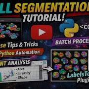 2D Cell Segmentation With Cellpose