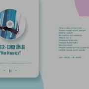 Nilüfer Esmer Günler Mor Menekşe
