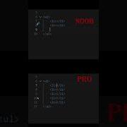 Noob Vs Pro In HTML Computerscience Programming