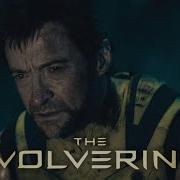 Logan The Wolverine