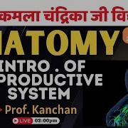 Anatomy Subject Intr Of Reproductive Sys Intro By Prof Kanchan BPT Session 2023 24 22 Jul