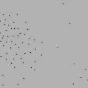 Autonomous Boids