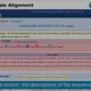 BLAST Multiple Alignment