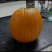Self Carving Pumpkin