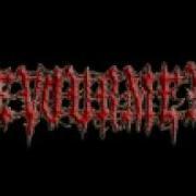 Devourment Choking On Bile Demo