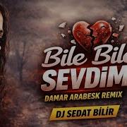 Bile Bile Sevdim O Hayırsızı Damar Arabesk Remix DJ Sedat BİLİR 2026