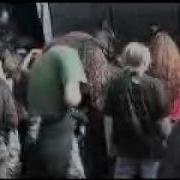 Eardelete Live Obscene Extreme 2007