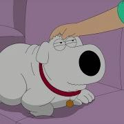 Family Guy Cat Brian