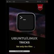 Linux Ubuntu Tricks 87 Shorts List Only The Files From Folder Directory