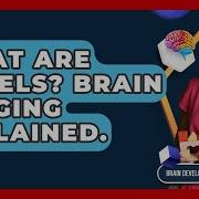 What Are Voxels Brain Imaging Explained Brain Development Hub