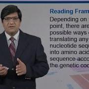 Topic119 ORF Prediction