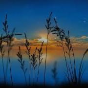 Melodic Progressive House Mix Vol 87 Searching For Sunrise
