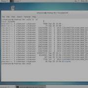 Processing Processor Development Environment Tutorial