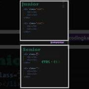 Junior Vs Senior Developer Part 4 Html Css Shorts Short Viral Youtubeshorts