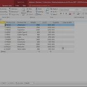 SQL In MS Access Update Table Contents UPDATE