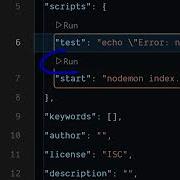 How To Add Run Button In Package Json File Of Node Js Project In VSCode IDE To Run Scripts