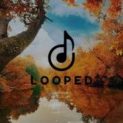 AK Decades LOOPED