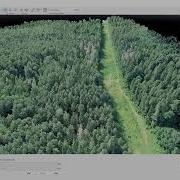 PIX4Dmapper Forest Point Cloud And Orthophoto
