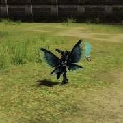 NevesOma L2J MOD RU Shadowar Ru крылья