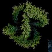 DLA3D GPU Growth On Thomas Strange Attractor GlChAoS P