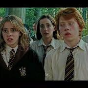 Harry Potter S Face Is All Of Us HarryPotter Shorts Foryou