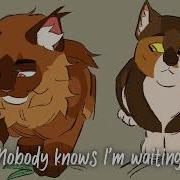 Harvey Mothpool Pmv