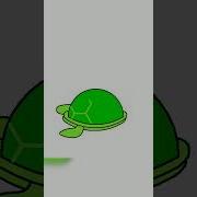 Tortoise Python Turtle Programming Pythonprogramming Youtubeshorts Treanding Tortoise