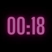 39 Second Timer With Alarm