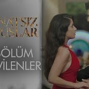 25 Bölümün Zeynep Onur Kolajı Kanatsız Kuşlar