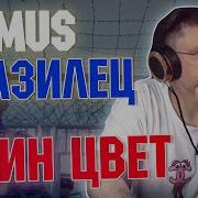 SLIMUS Feat Бразилец Один цвет Разбор и реакция