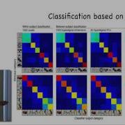 Building Common High Dimensional Models Of Neural Representational Spaces