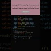 JavaScript An Example Of Arrow Functions Vs Regular Functions Get Selected Value In Dropdown List