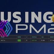 Node Js Process Manager PM2 2024