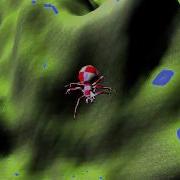COLLADA Skeletal Animation Result